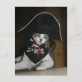 Funny Pirate Cat Postkarte (Vorderseite)