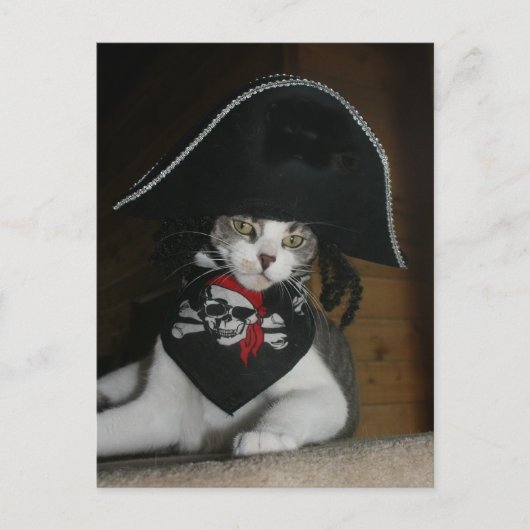 Funny Pirate Cat Postkarte (Vorderseite)