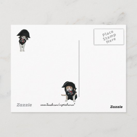 Funny Pirate Cats Postkarte (Rückseite)