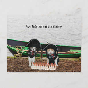 Funny Pirate Cats Postkarte
