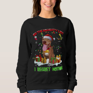 Funny Pitbull Weihnachten hässlich Sweater Hund Xm Sweatshirt