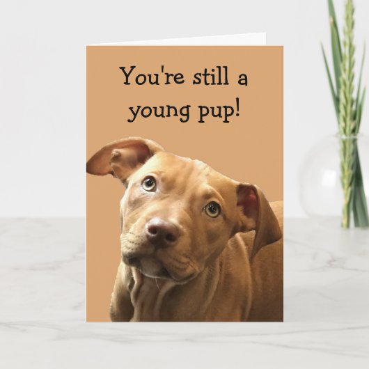 Funny Pitbull Welppy Birthday Card Karte (Vorderseite)