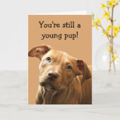 Funny Pitbull Welppy Birthday Card Karte (Gelbe Blume)