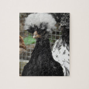 Funny Polish Chicken Close Up Photo Puzzle