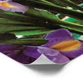 Funny Political Joest Forest Climate Change Satire Poster (Ecke)