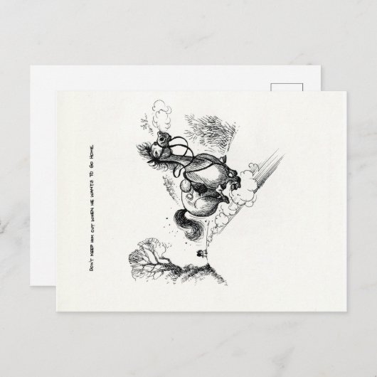 Funny Pony Cartoons Postcards Postkarte (Vorne/Hinten)