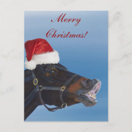 Funny Pony Merry Christmas Feiertagspostkarte