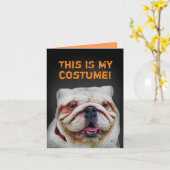 Funny Poodle als Bulldog Halloween verkleidet Karte (Gelbe Blume)