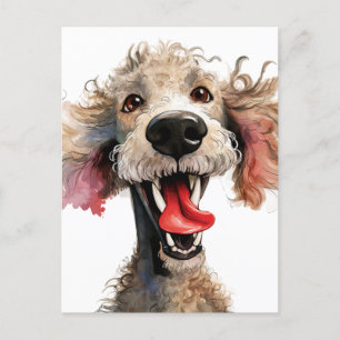 Funny Poodle Cartoon Postkarte