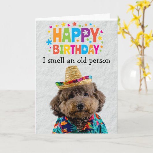 Funny Poodle Hund Geburtstagkarte Karte (Gelbe Blume)