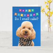 Funny Poodle Hund Geburtstagkarte Karte (Gelbe Blume)
