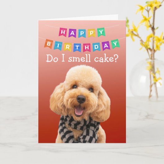 Funny Poodle Hund Geburtstagkarte Karte (Gelbe Blume)