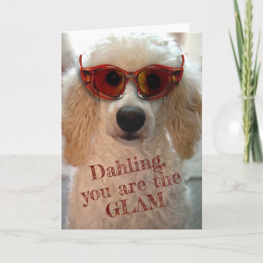 Funny Poodle Wearing Shades Sunglasscard Karte (Vorderseite)