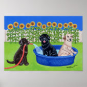 Funny Pool Party Labradors Artwork Poster (Vorne)