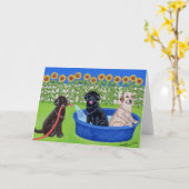 Funny Pool Party Labradors Karte (Gelbe Blume)