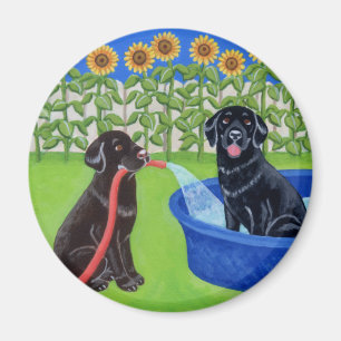 Funny Pool Party Labradors Magnet