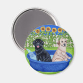 Funny Pool Party Labradors Magnet (Vorderseite/Rückseite)