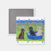 Funny Pool Party Labradors Magnet (Vorderseite/Rückseite)