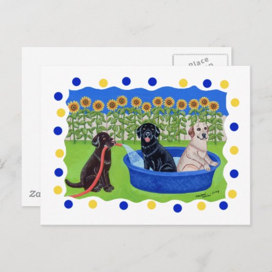 Funny Pool Party Labradors Postkarte (Vorne/Hinten)