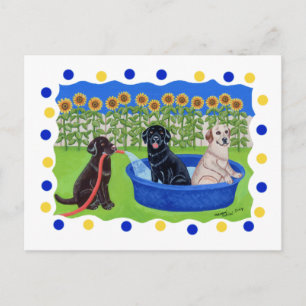 Funny Pool Party Labradors Postkarte
