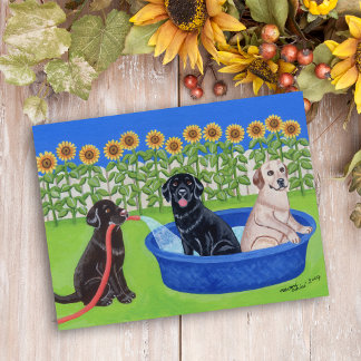 Funny Pool Party Labradors Postkarte