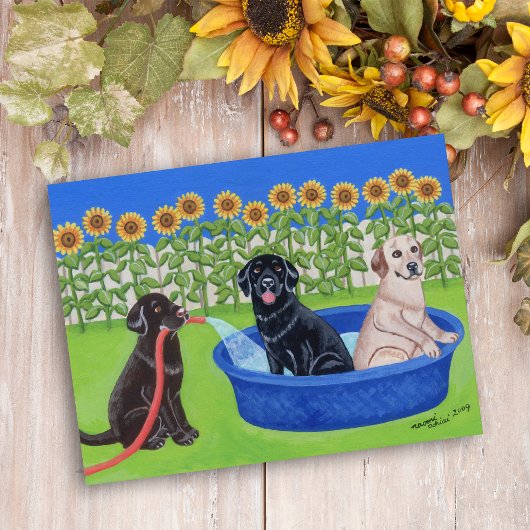 Funny Pool Party Labradors Postkarte