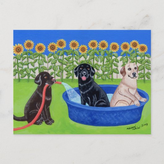 Funny Pool Party Labradors Postkarte (Vorderseite)