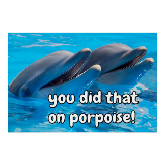 Funny Porpoise Memos Funny Porpoise Redewendungen Poster