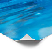 Funny Porpoise Memos Funny Porpoise Redewendungen Poster (Ecke)