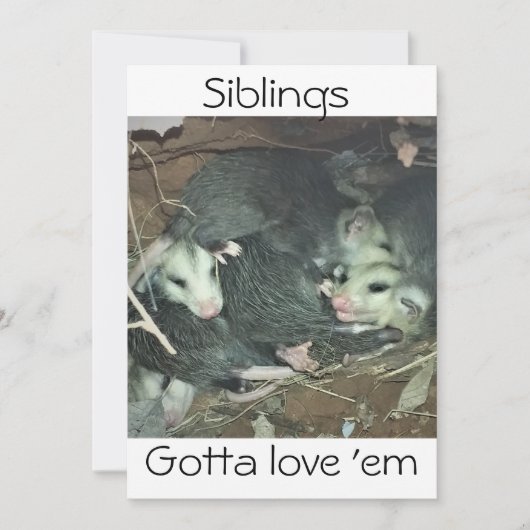 Funny Possum Siblings Feiertagskarte (Vorderseite)