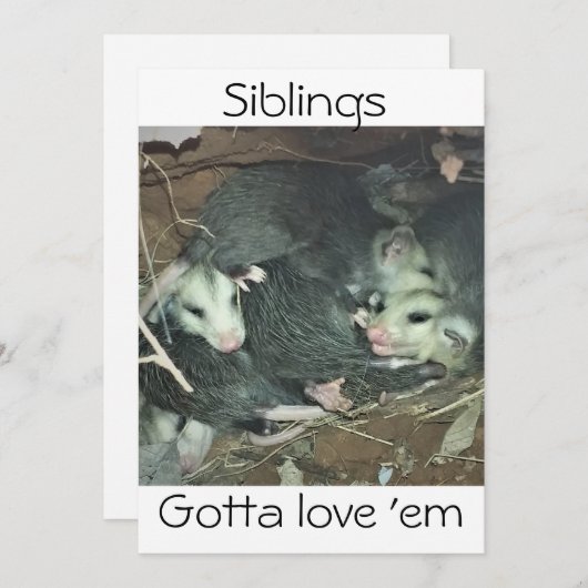 Funny Possum Siblings Feiertagskarte (Vorne/Hinten)