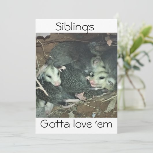 Funny Possum Siblings Feiertagskarte (Stehend Vorderseite)