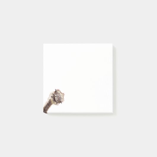 Funny Post es Notizen mit glücklich spielendem Ost (Vorderseite)