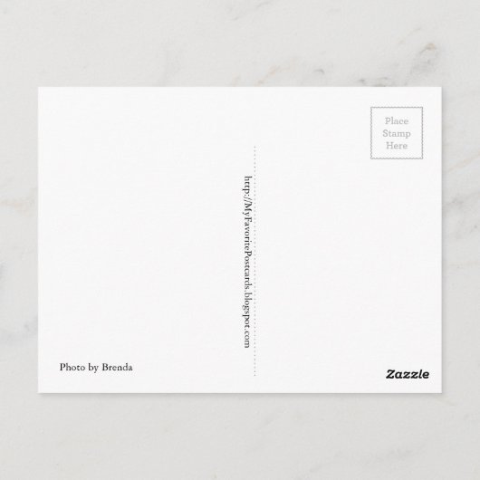 Funny Postcard über Puns, punny, Postcross Postkarte (Rückseite)