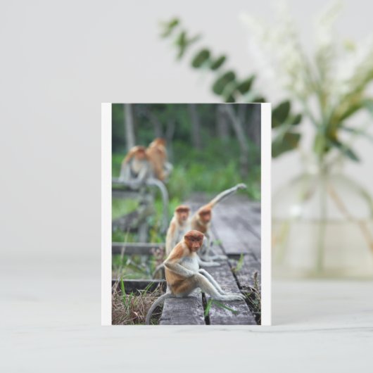 Funny Proboscis Affen Postkarte (Stehend Vorderseite)