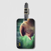 Funny Proboscis Gepäckanhänger (Vorderseite Vertikal)