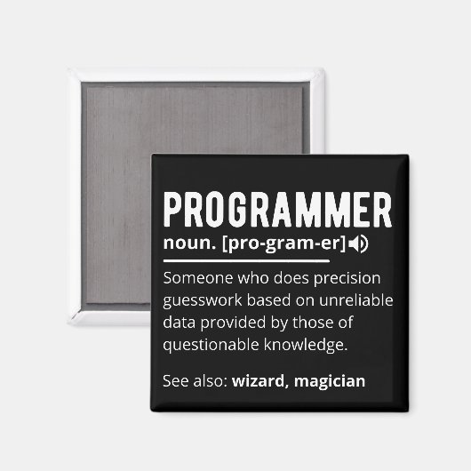 Funny Programmer Code Developer Definition Magnet (Vorderseite/Rückseite)