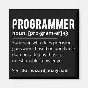 Funny Programmer Code Developer Definition Magnet