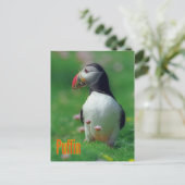 Funny Puffin Postkarte (Stehend Vorderseite)