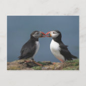 Funny puffs postkarte (Vorderseite)