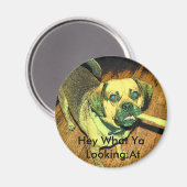 Funny Puggle Dog Magnet (Vorderseite/Rückseite)
