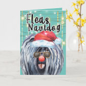 Funny Puli Weihnachtshund in Lichtern Flöhe Karte (Gelbe Blume)