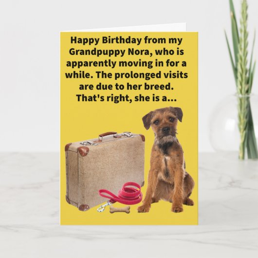 Funny Pun Boarder Terrier Happy Birthday Karte (Vorderseite)