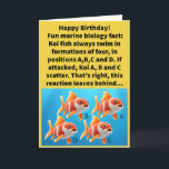 Funny Pun D Koi Happy Birthday Karte<br><div class="desc">Diese informative Geburtstagskarte braucht nicht gekürzt zu werden. Dank der Freundin der Familie Melissa Lotz, die mich regelmäßig von ihren Mathematikschülern schickt! Manche mögen einen guten Koi-Pun nicht schätzen, aber wer gibt einen Karpfen, was diese Hasser denken? Würden übrigens ein Quartett von Fischen, die in einer bestimmten Ausrichtung schwimmen, als...</div>