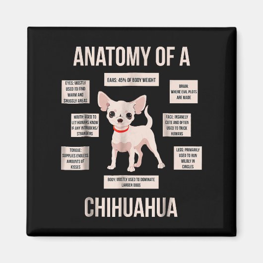 Funny Puppy Geschenkanatomie einer Chihuahua Magnet (Vorne)