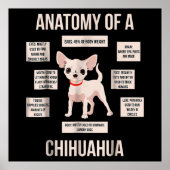 Funny Puppy Geschenkanatomie einer Chihuahua Poster (Vorne)
