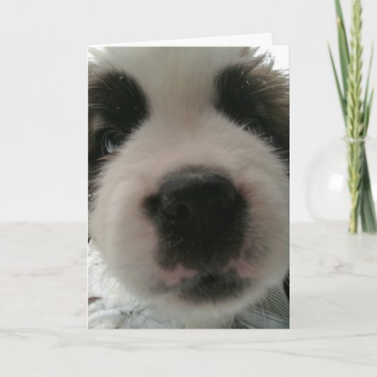 Funny Puppy Nose Karte (Vorderseite)