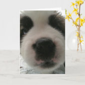 Funny Puppy Nose Karte (Gelbe Blume)