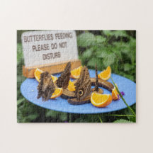 Funny! Puzzle - Fütternd Schmetterlinge stören nic