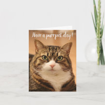 Funny Quote Cat Liebt Custom Foto Geburtstag